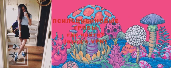 тгк Балахна