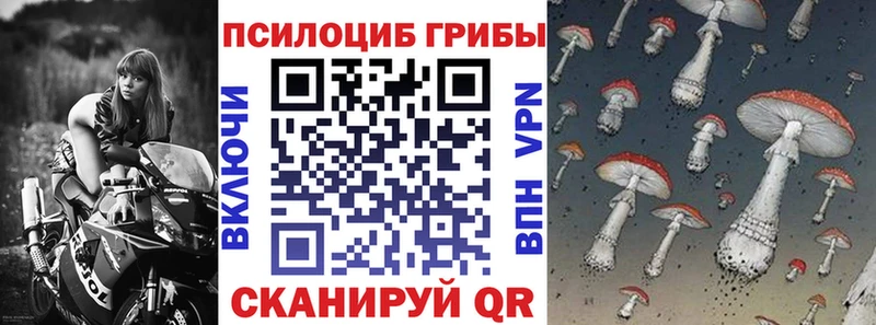 Галлюциногенные грибы Psilocybine cubensis  Волчанск 